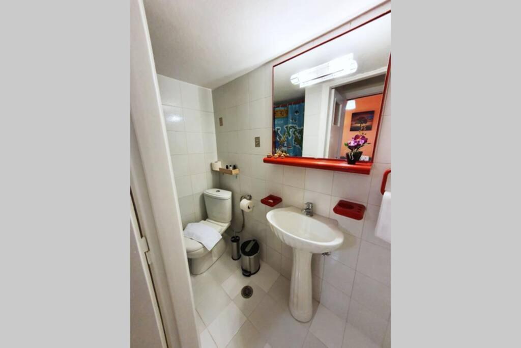 Greek Hospitality In A Modern Apartment Athens